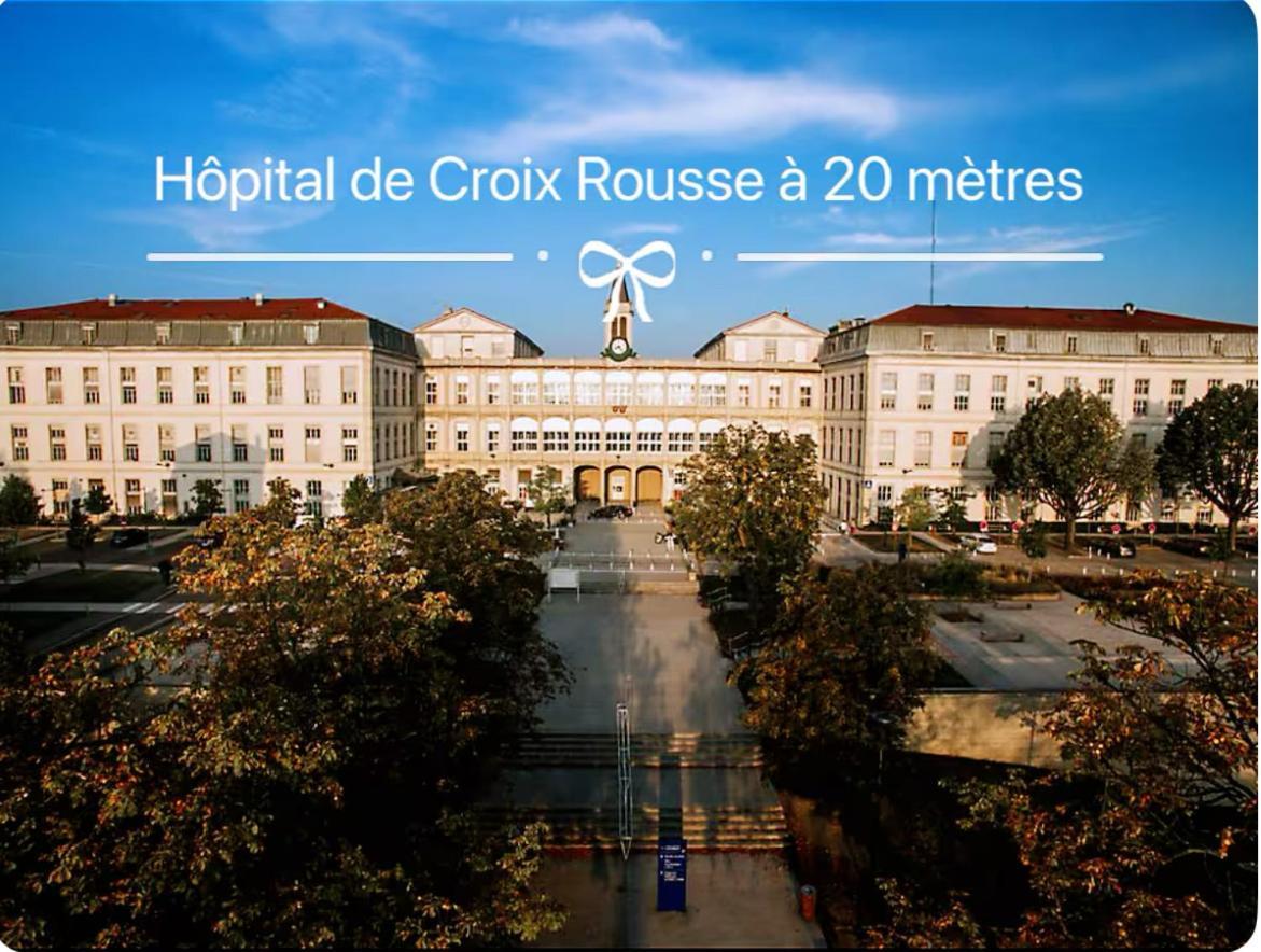 Art De Recevoir - L'Ecrin De Margnolles - Croix Rousse - Metro C-Cuire Caluire-et-Cuire Dış mekan fotoğraf